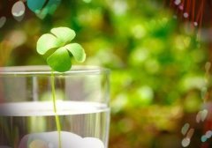 晒家庭幸福的经典语录