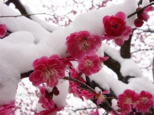 形容责任重大的句子