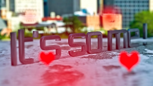 每日金句简短正能量