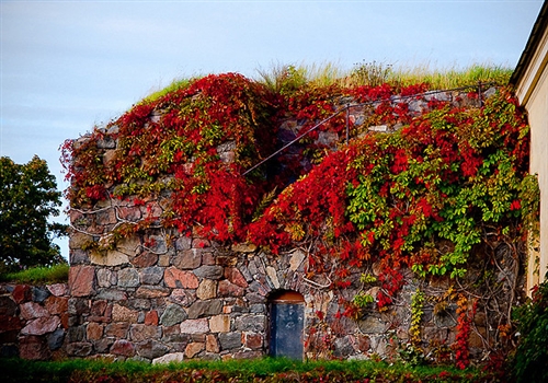 写一句与节气立秋有关的谚语