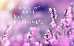 偷偷暗恋一个人的句子