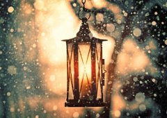 不放弃坚持到底的句子