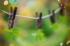 自己做错了给老婆道歉的话