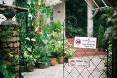 繁花落尽唯美诗句