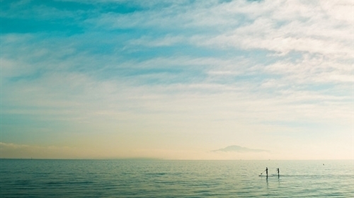 今日感悟正能量一句话