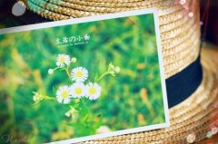 共勉的经典句子