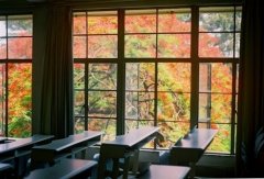 怀念校园青春的句子