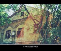 读书使人明智的句子