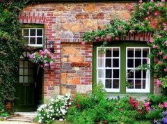 健康与生活句子