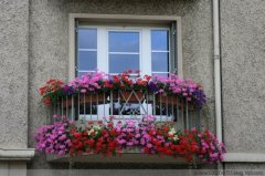 谢师恩的唯美句子