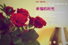 描写老师无私奉献的优美句子