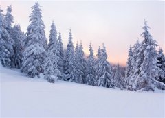 描写雪景的句子