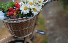 祝福老师的祝福语