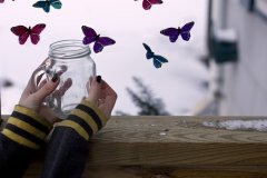 描写小草的诗句