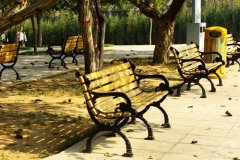 心理健康的优美句子二年级