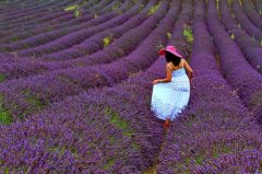 早上出发的简单句