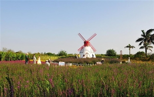 金秋丰收的俗语诗句