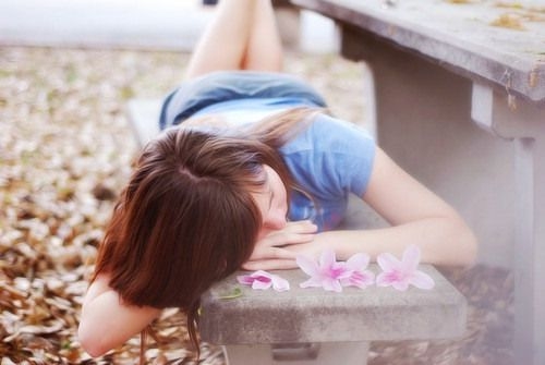 理智与情感经典语录