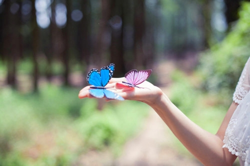 男生撩女生的情话句子 男生撩女生的情话句子