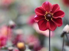 一句让人瞬间觉得很温暖的话