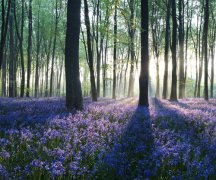 简单干净的一句话发朋友圈