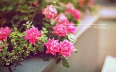 安东尼罗宾的经典语句