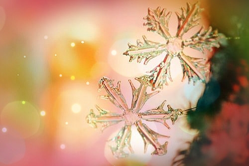 写一句描写冬天的排比句