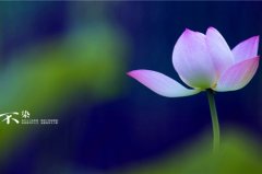 一些适合发朋友圈的文案句子