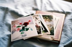 经典一句话集体获奖感言