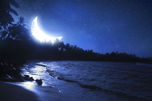 一个要走的人留不住的经典语录