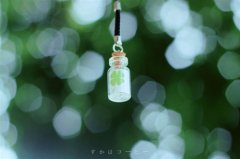 佛家无欲无求的句子经典