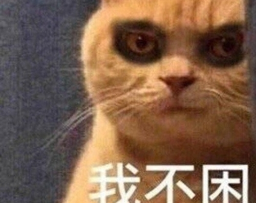 熬夜熬成熊猫眼的说说