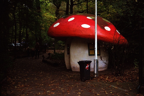 打呼噜吵得我睡不着的说说