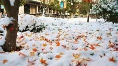 下雪了注意保暖的温馨句子