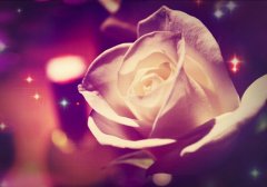 往后余生有你足够的句子