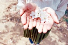 老年人早上微信问候祝福语