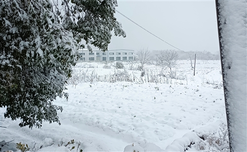 下雪天配自己照片的说说