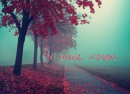 梦想越来越远的说说