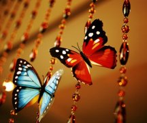 适合发朋友圈的毕业短句