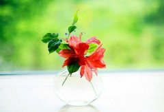 女儿十八岁成人礼怎么发朋友圈