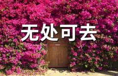 一个人无处可去的说说(46句)