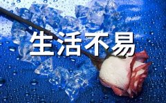 生活不易的经典语句(精选80句)