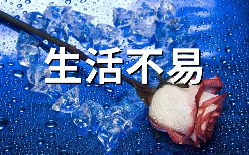 生活不易的经典语句(精选80句)(生活不易的经典诗词)