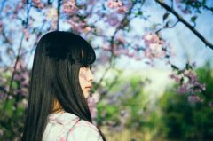 放孔明灯许愿的句子(精选56句)