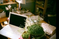 文案句子温柔干净治愈(77句)