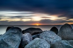 微信拍一拍爆笑短句(61句)