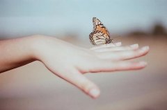 关于书籍的优美句子(精选38句)