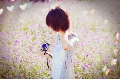 邂逅的唯美句子(精选36句)
