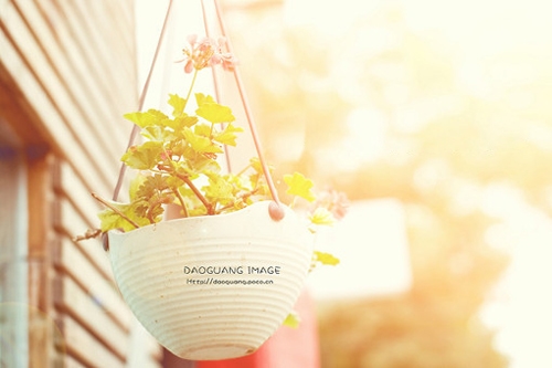 交通安全小短语(70句)