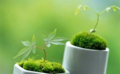 表示一切都会好的句子简短(43句)